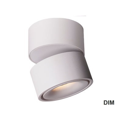Oprawa natynkowa Mistic BROKEN 9W DIM biała
