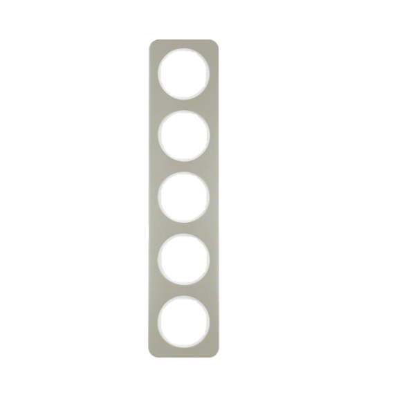 Berker R.1 Ramka 5-krotna, stal szlachetna/biały