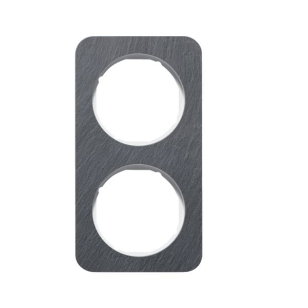 Berker R.1 Ramka 2-krotna, łupek/biały