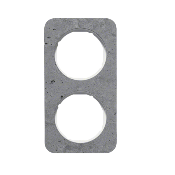 Berker R.1 Ramka 2-krotna, beton/biały