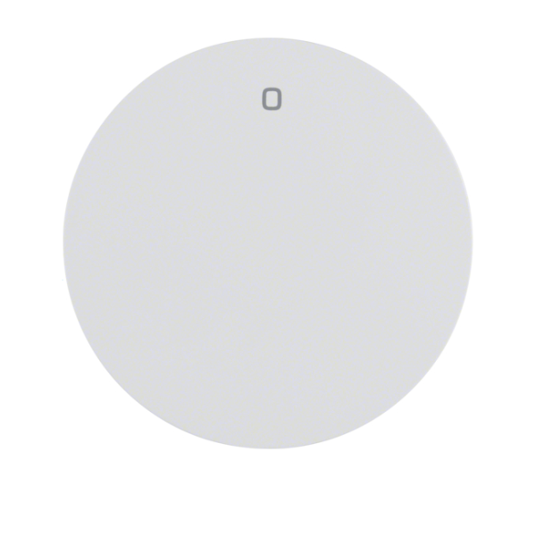 Berker R.1/R.3 Klawisz z nadrukiem "0" do łącz. klaw. 1-kr biały