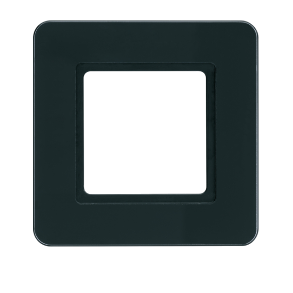 Berker Q.7 Ramka 1-krotna do modułu podświetlenia LED, szkło, czarne