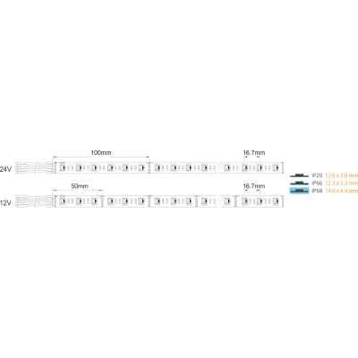 Taśma 60LED/m 1m 24V 19.2W RGB+3000K IP66 970lm 12mm