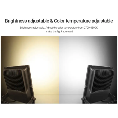 Oprawa ogrodowa LED RGB+CCT 50W 230VAC FUTC06