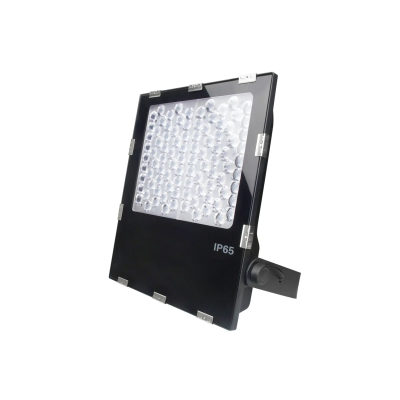 Oprawa ogrodowa LED RGB+CCT 100W 230VAC FUTC07