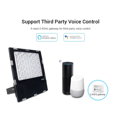 Oprawa ogrodowa LED RGB+CCT 100W 230VAC FUTC07
