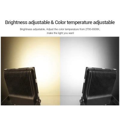 Oprawa ogrodowa LED RGB+CCT 100W 230VAC FUTC07