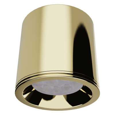 Maxlight C0217 Form