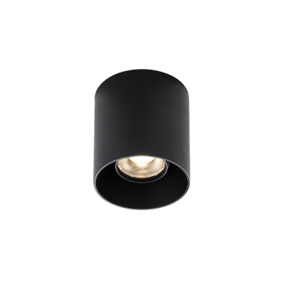 Maxlight C0281 BigFix