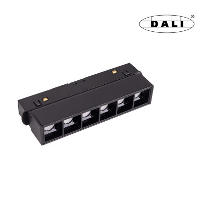 Maxlight M0003D Magnetic Raster 11cm Dali