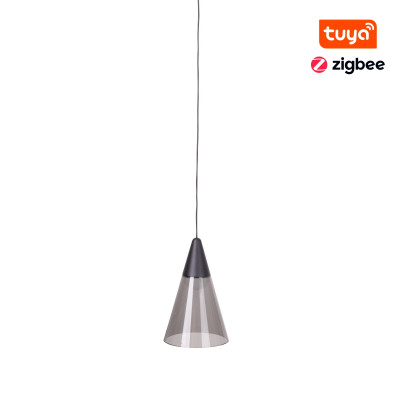 Maxlight M0015Z Magnetic Klosz Wiszący Zigbee