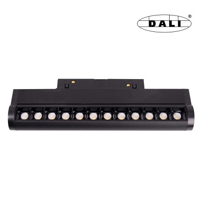 Maxlight M0019D Magnetic Raster Łamany Dali