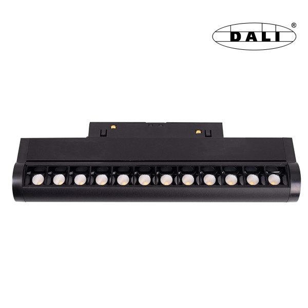 Maxlight M0019D Magnetic Raster Łamany Dali