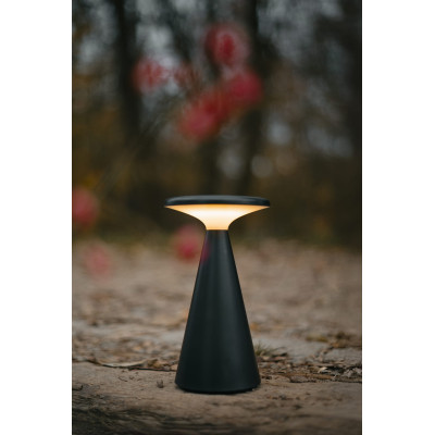 Maxlight T0063 Funghi