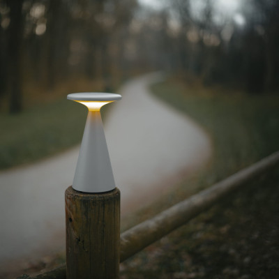 Maxlight T0064 Funghi