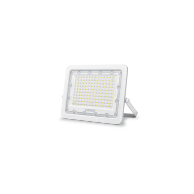 Naświetlacz LED 100W NW SMD IP65, biały