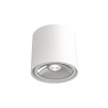 Downlight