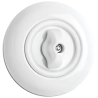 Porcelain white